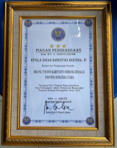 BNN KAB. SERDANG BEDAGAI MENERIMA PENGHARGAAN PADA RAKERNIS BNN